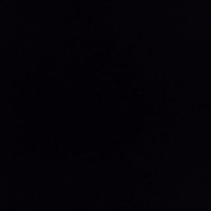 Meet your Posher, Mia